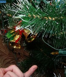 Christmas 629808d1b12c9.jpg