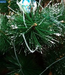 Christmas 629808d4b630d.jpg