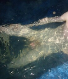 Big cock boys porn cum shows 5ff3322245ac7.jpeg