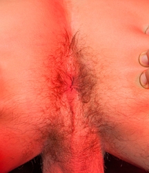 Twinks porn hot 3 5ff0d822dab15.jpg