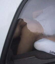 Twink Porn Bubble Butts & Nice Cocks 61b3ebb76107f.jpg