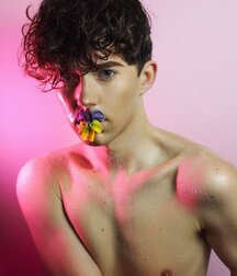 Chris Walsh The Star Gay Tube 6050c8b522ea6.jpeg