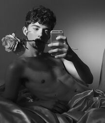 Chris Walsh The Star Gay Tube 6050c92d9e988.jpeg