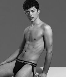 Chris Walsh The Star Gay Tube 6050c9367c976.jpeg