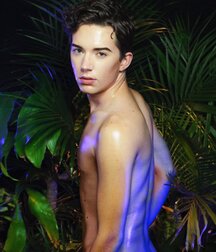 Chris Walsh The Star Gay Tube 6050c9744d7b9.jpeg