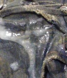 Boys of all kind gay tube 60b4b4a1523b5.jpg