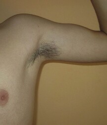 hairy pits fetish gay tube 6050df5800fd1.jpg