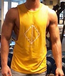 Publius Boys In Sleeveless T-Shirts Open Sides 1 Porn 604ea6baae307.jpg