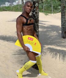 Publius Beach Boys 2 Gay Tube Shirtless 605201301725c.jpg