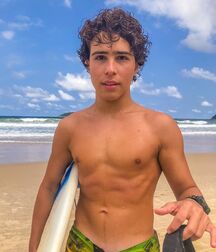 Publius Beach Boys 3 Summer Gay Tube  6052b61db0400.jpg