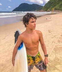 Publius Beach Boys 3 Summer Gay Tube  6052b6202bf5c.jpg