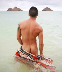 Publius Beach Boys 6 Twink Image Mix Tube 6057b20ed5317.png