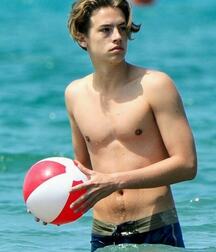 Publius Beach Boys 11 Ocean Gay Tube 605bed489ec0a.jpg