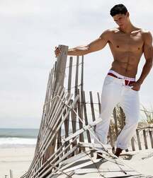 Publius Beach Boys 11 Ocean Gay Tube 605bedb4979e7.jpg