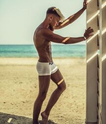 Publius Beach Boys 12 Gay Tube Party 605f455e7cdee.jpg