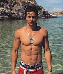 Publius Beach Boys 12 Gay Tube Party 605f455fd157a.jpg