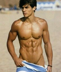 Publius Beach Boys 12 Gay Tube Party 605f456f00bc5.jpg