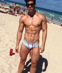 Publius Beach Boys 12 Gay Tube Party 605f459bca94e.jpg
