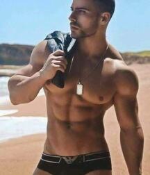 Publius Beach Boys 12 Gay Tube Party 605f45a34ba4e.jpg