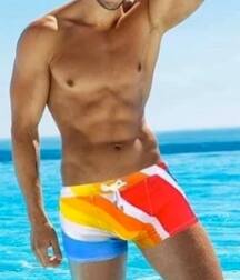 Publius Beach Boys 12 Gay Tube Party 605f45aee0394.jpg