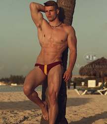 Publius Beach Boys 12 Gay Tube Party 605f45b12e184.jpg
