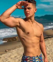 Publius Beach Boys 12 Gay Tube Party 605f45b679ffb.jpg