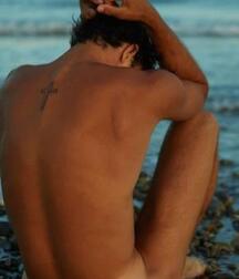 Publius Beach Boys 12 Gay Tube Party 605f45c5ab03b.jpg
