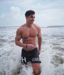 Publius Beach Boys 12 Gay Tube Party 605f45e62c151.jpg