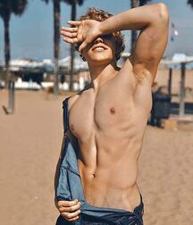 Publius Beach Boys 17 Gay Tube  6068884278bdf.jpg
