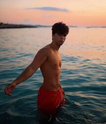 Publius Beach Boys 18 Gay Tube Spring Mix 606f0dd3d7a0d.jpg