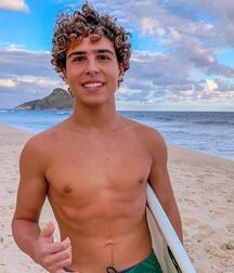 Publius Beach Boys 18 Gay Tube Spring Mix 606f0de65a9b4.jpg