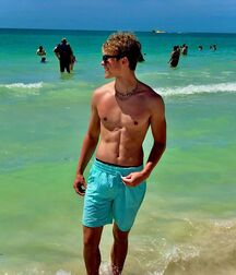 Publius Beach Boys 18 Gay Tube Spring Mix 606f0e2623936.jpg