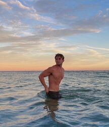 Publius Beach Boys 18 Gay Tube Spring Mix 606f0e48a0bf3.jpg