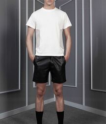 Publius Leather Boys 31 Twinks Gay Tube 60762d46abd7d.jpg