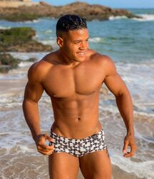 Publius Beach Boys 21 Shirtless Twink Summer Tube  608744113b789.jpg