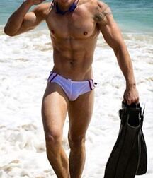Publius Beach Boys 24 Twink Tube  6099091429fc4.jpg