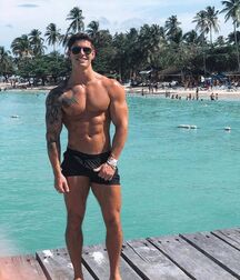 Publius Beach Boys 24 Twink Tube  6099098c96f64.jpg