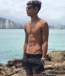 Publius Beach Boys 24 Twink Tube  6099099789165.jpg