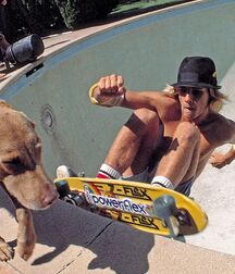Publius Boys On Skareboards 1