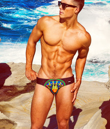 Publius Beach Boys 26 Paradise Gay Tube 609ed55094003.jpg