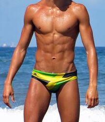 Publius Beach Boys 28 Gay Tube  60a99a506117b.jpg