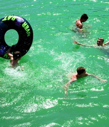 Publius Beach Boys 28 Gay Tube  60a99a5649d26.jpg