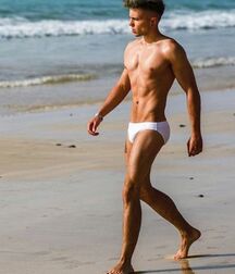 Publius Beach Boys 29 Twink Beach Gay Tube 60aacbdea4ba9.jpg