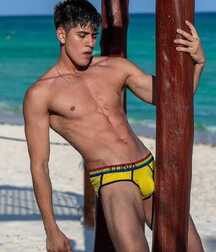 Publius Beach Boys 29 Twink Beach Gay Tube 60aacbf1243a5.jpg
