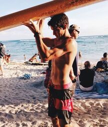 Publius Beach Boys 30 Major Gay Tube  60b3e9ab3832b.jpg