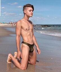 Publius Beach Boys 30 Major Gay Tube  60b3e9fc3931c.jpg