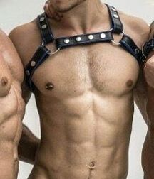 Publius Leather Boys 40 Gay Tube Bad 60b4f60ca1305.jpg