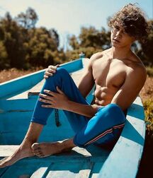 Publius Beach Boys 31 Gay Tube 60b793ca78c76.jpg