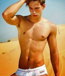 Publius Beach Boys 31 Gay Tube 60b794169be29.jpg