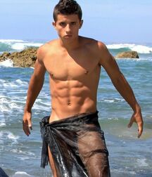 Publius Beach Boys 32 Twinks Gay Tube 60beb72fc719d.jpg